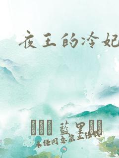 夜王的冷妃