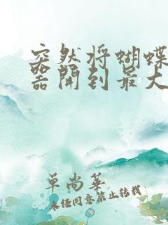 突然将蝴蝶遥控器开到最大