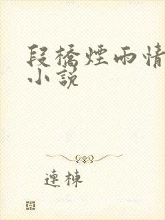 段桥烟雨情难离小说