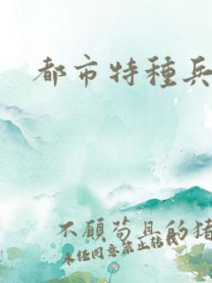 都市特种兵任天