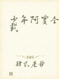 少年阿宾全集下载