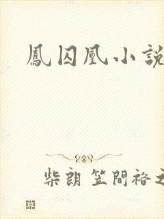 凤囚凰小说