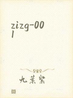 zizg-001