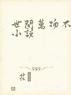 世间万物不及你小说