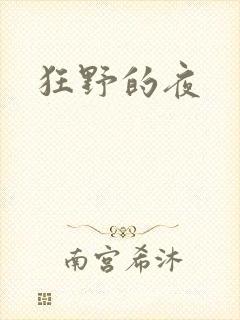 狂野的夜