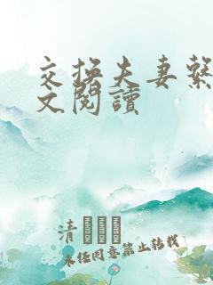 交换夫妻系列全文阅读