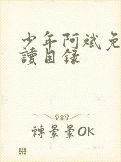 少年阿斌免费阅读目录