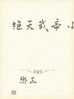 绝天武帝 小说