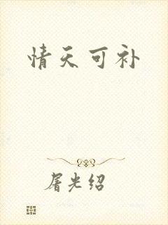 情天可补