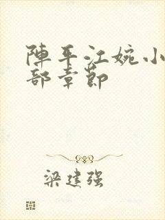 阵平江婉小说全部章节