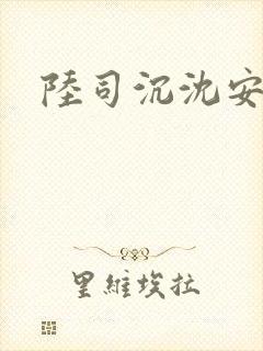 陆司沉沈安