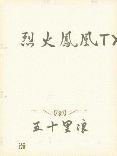 烈火凤凰TXT