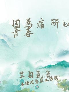 因为痛 所以叫青春