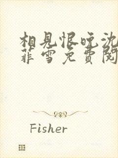 相见恨晚沈浩秦菲雪免费阅读