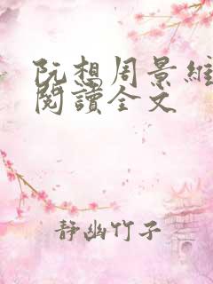 阮想周景维免费阅读全文