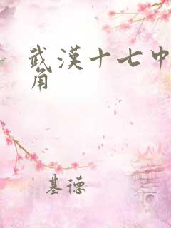 武汉十七中女主角