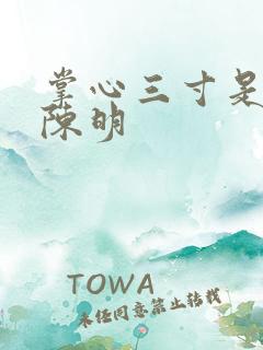 掌心三寸是人间陈明