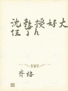 沈教授好大含不住了h