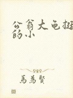公翁大龟挺进我的小