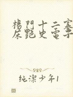 杨门十二寡妇肉床艳史电子书