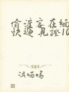 偷渡客在缅北送快递 见证100种逃亡