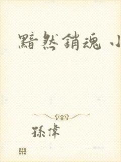 黯然销魂 小说