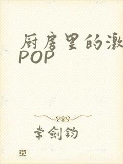 厨房里的激战2POP