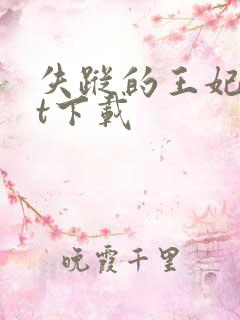 失踪的王妃txt下载