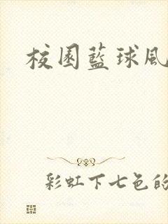 校园蓝球风云