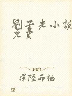 刘子光小说全文免费