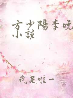 方少阳李晚晴的小说