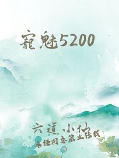 宠魅5200