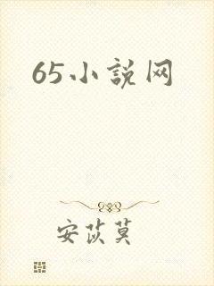 65小说网