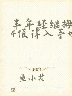 丰年经继拇中文4值得入手吗