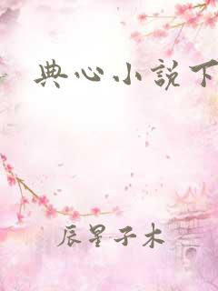 典心小说下载