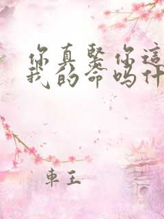 你真紧你这是要我的命吗什么意思