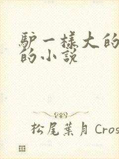 驴一样大的凶器的小说