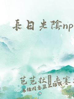 长日光阴np