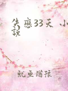 失恋33天 小说