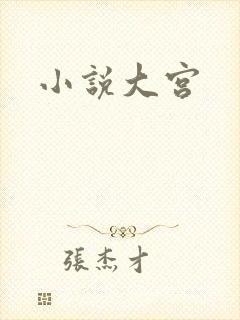小说大宫
