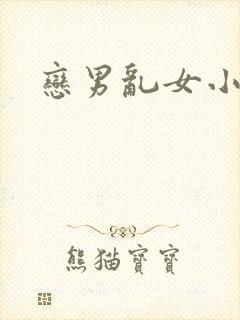 恋男乱女小说