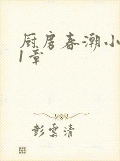 厨房春潮小说第1章