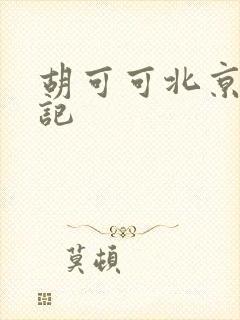 胡可可北京成功记