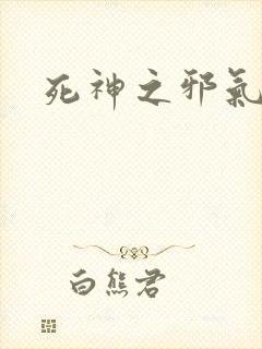 死神之邪气一护