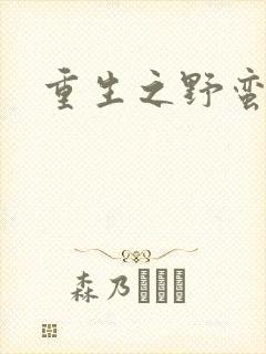重生之野蛮盗贼