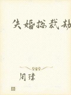 失婚总裁劫前妻