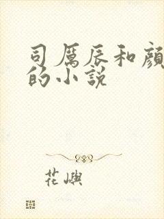 司厉辰和颜辞兮的小说