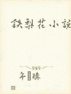 铁梨花小说