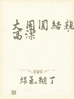 大团圆结亲情会高洁