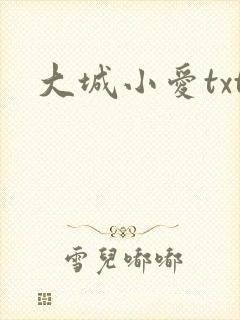 大城小爱txt